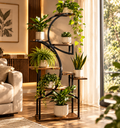 🌿 VELMMONT NOIR™